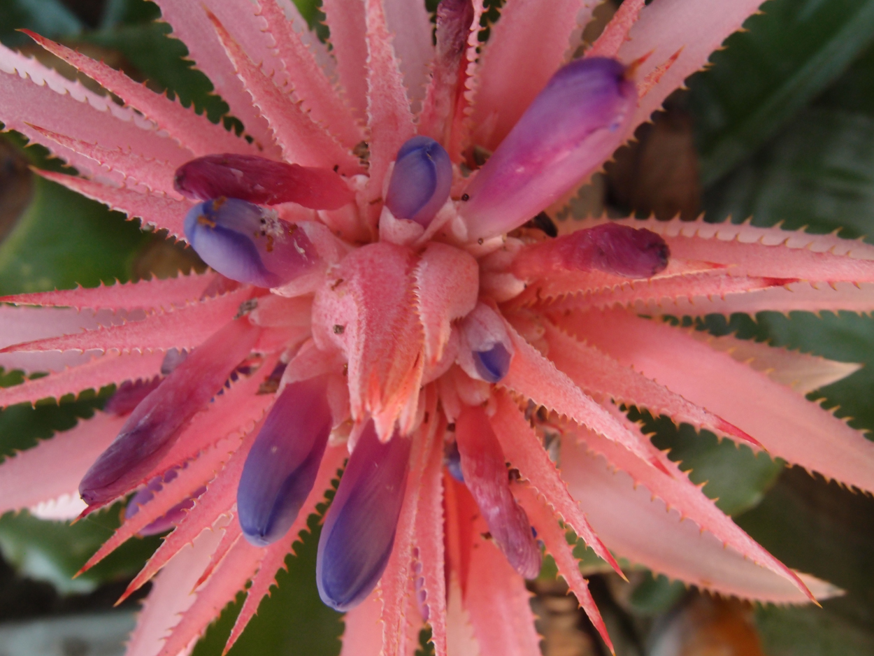 2016-02-18 Paulas Garten (Fotos)